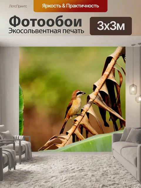 Фотообои Дерево