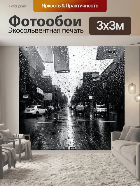 Фотообои дождь в черно-белом стиле