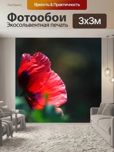 Фотообои солнечный свет на красном цветке мака