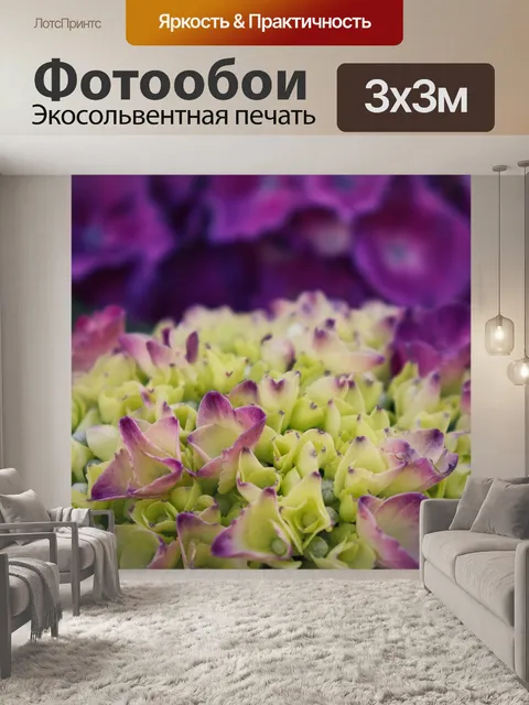 Фотообои Гортензия