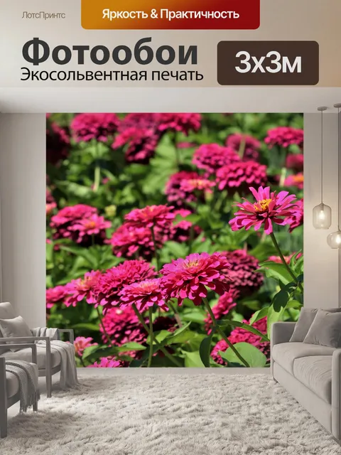 Фотообои Розовый Цинния в саду