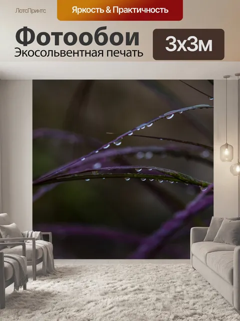 Фотообои Капли на листьях