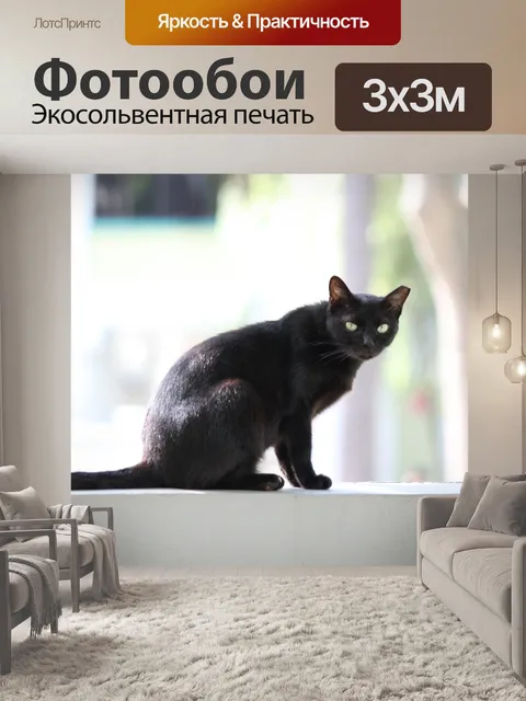 Фотообои черная дикая кошка на стене