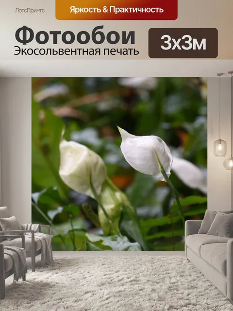 Фотообои Белый цветок Гавайи