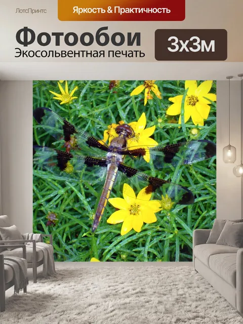 Фотообои Стрекоза