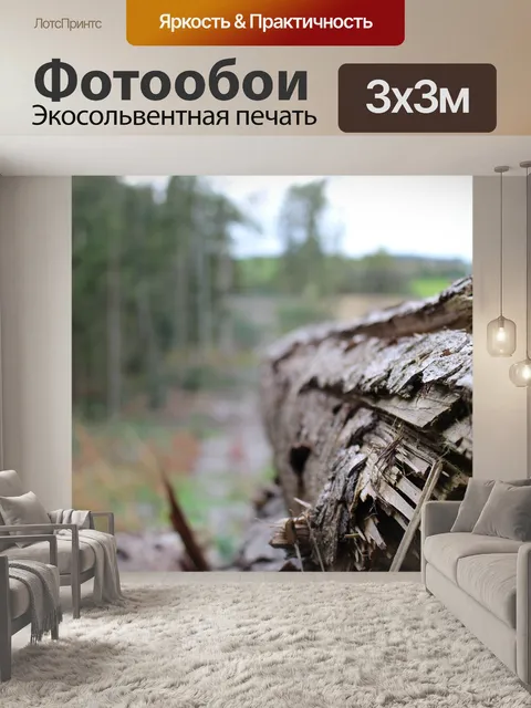Фотообои Ствол дерева