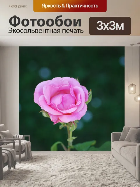 Фотообои Розовый