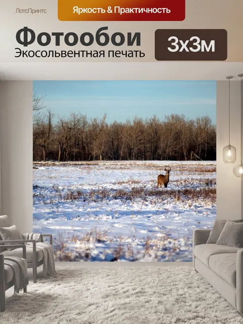 Фотообои Зима