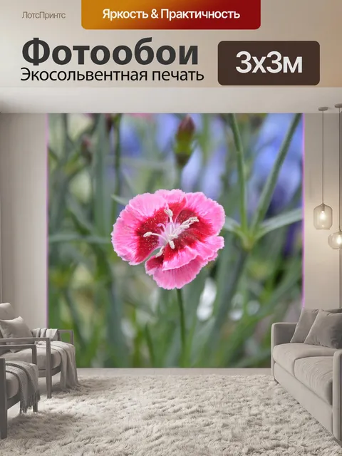 Фотообои Голландские цветы в садах 61