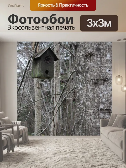 Фотообои Скворечник