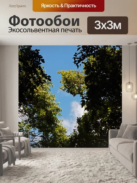 Фотообои солнечный свет на листве деревьев верхуш