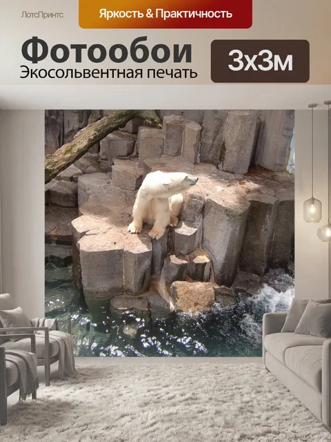 Фотообои Белый медведь