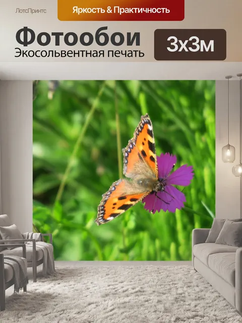 Фотообои Маленькая лиса