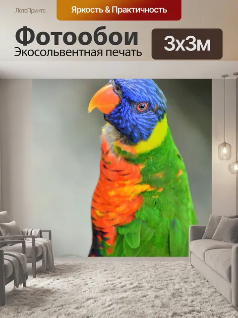 Фотообои Волнистый попугайчик