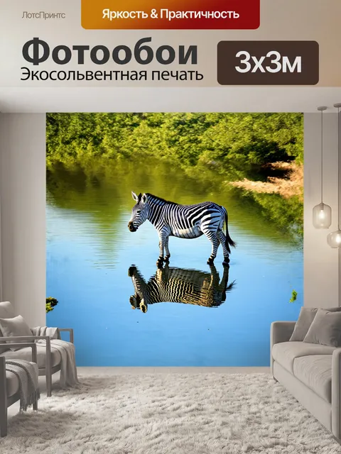 Фотообои зебра, играющая в водопой на берегу реки, отражается в спокойной воде, где цвет неба и зеленых деревьев…