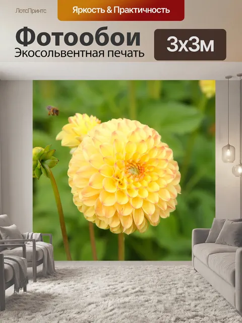 Фотообои Цветок