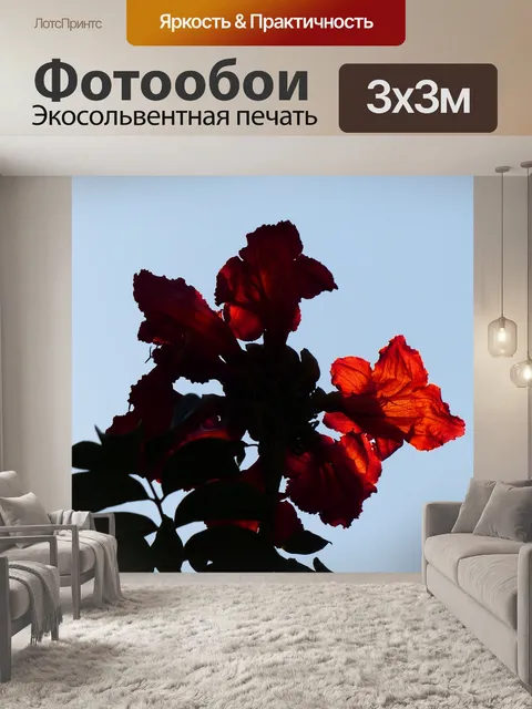Фотообои Расцветает