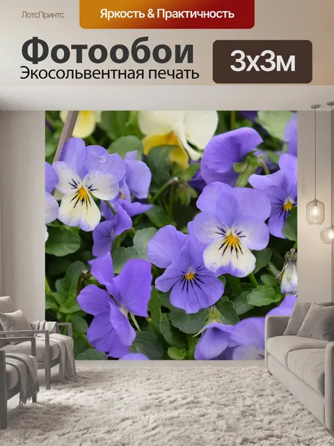 Фотообои Фиолетовые анютины глазки