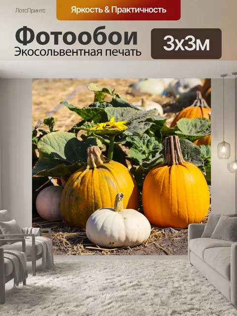 Фотообои Тыквы