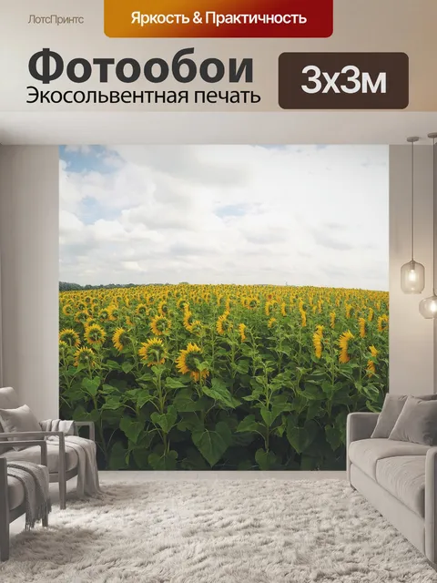 Фотообои Подсолнухи