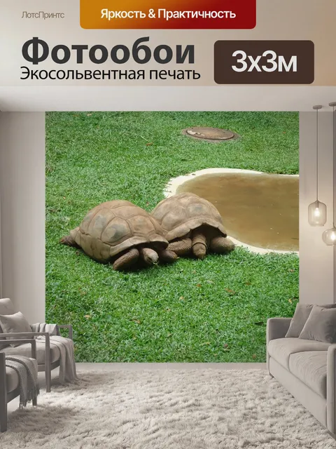 Фотообои Черепаха
