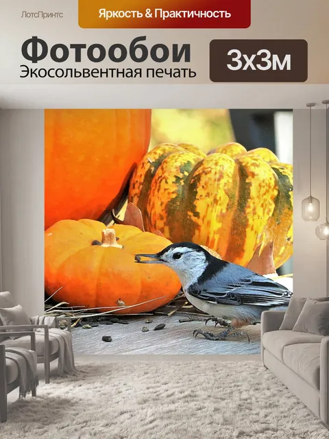 Фотообои Белоглазый поползень и тыква