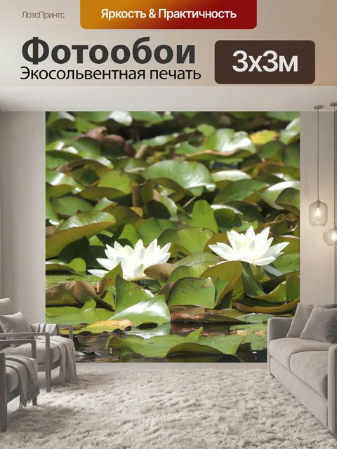 Фотообои Водяная лилия
