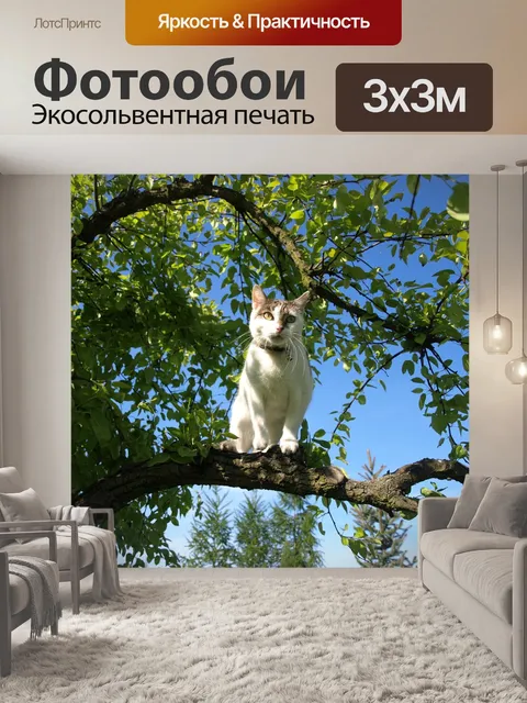 Фотообои Кошка