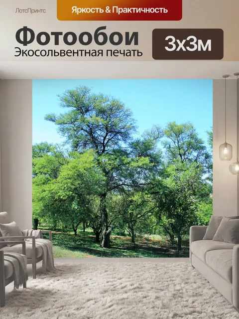 Фотообои большие деревья