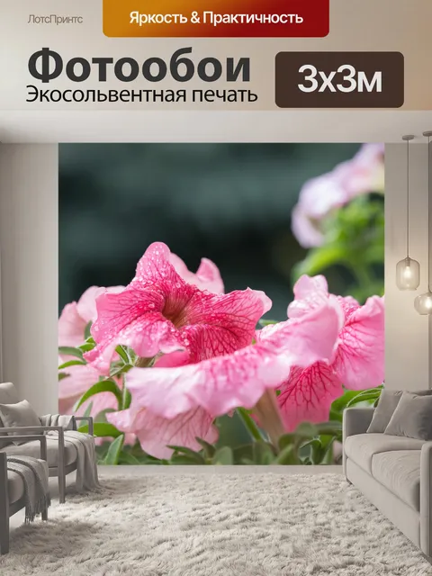 Фотообои Балконные цветы после дождя