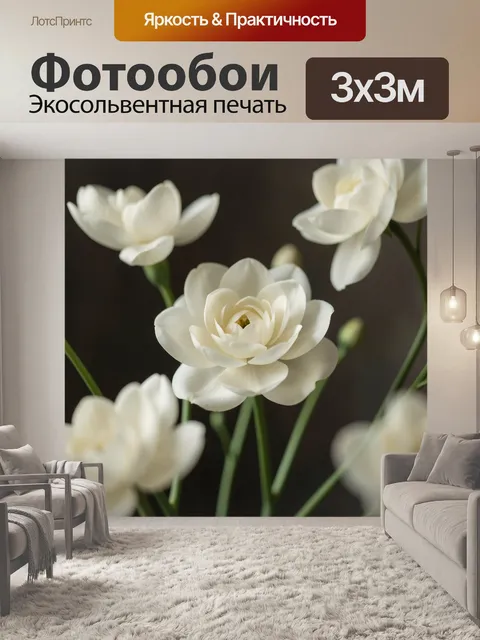Фотообои Белые цветы на темном фоне