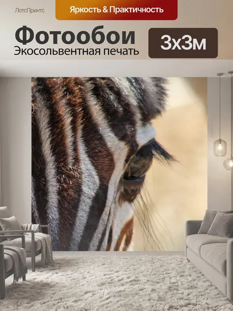 Фотообои Зебра