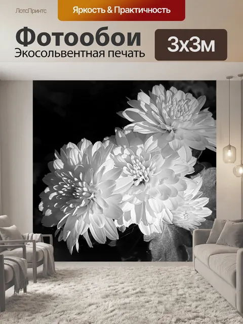 Фотообои Хризантемы в черно-белом