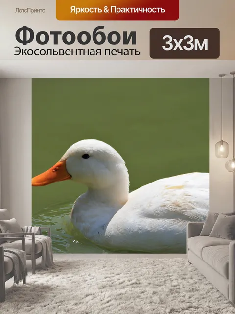 Фотообои белая утка