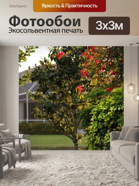 Фотообои Красный Бугенвиль в вечернее время