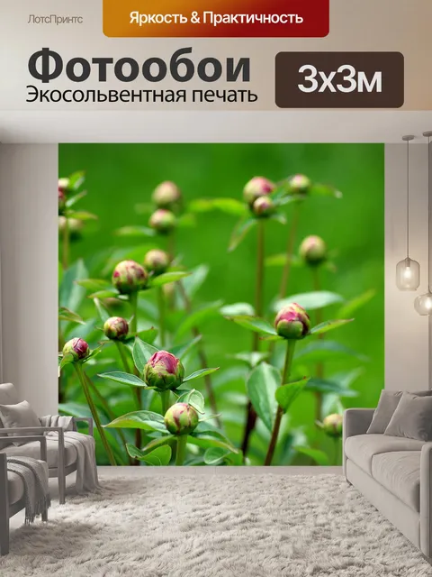 Фотообои Пионы