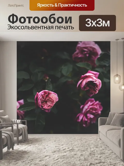 Фотообои Темный