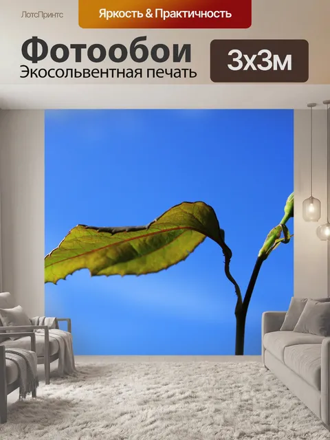 Фотообои Sky