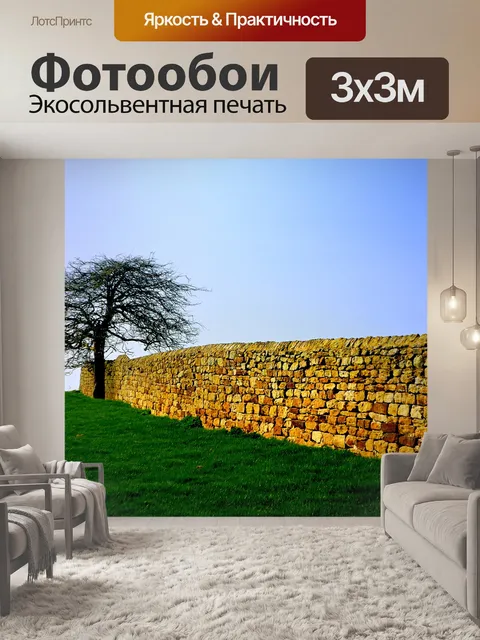 Фотообои Дерево и стены