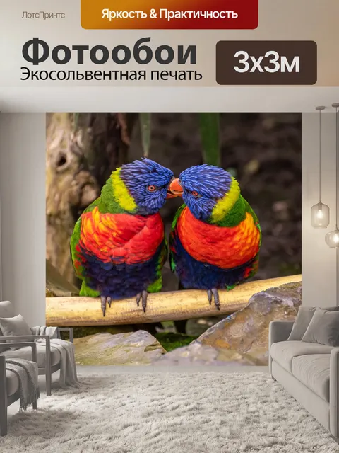 Фотообои Птицы