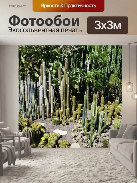 Фотообои Кактусы