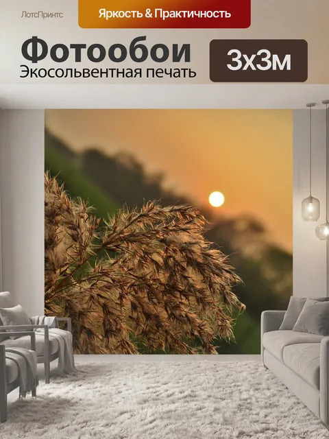 Фотообои Заход солнца