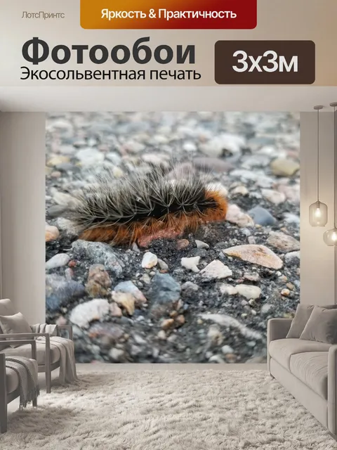 Фотообои Нечеткая гусеница на асфальте