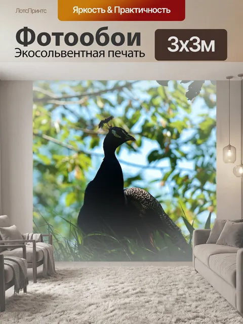 Фотообои Lichtspiel