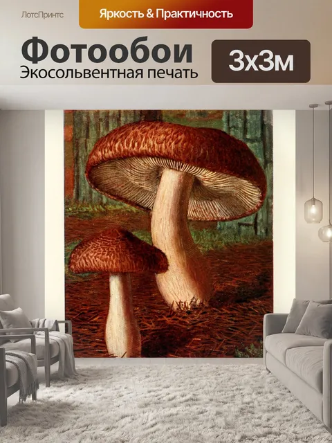 Фотообои Грибы век винтаж старый