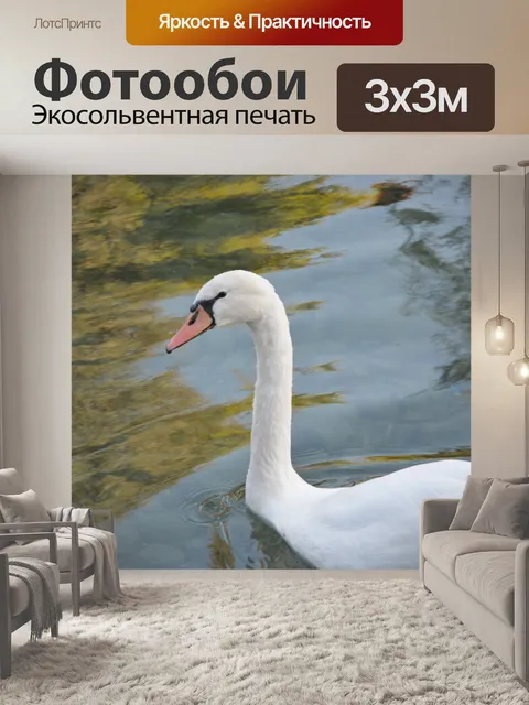 Фотообои Белый лебедь