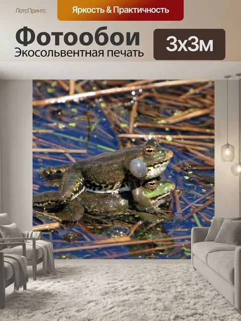 Фотообои Лягушки Спаривание
