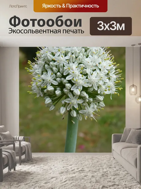 Фотообои Природа