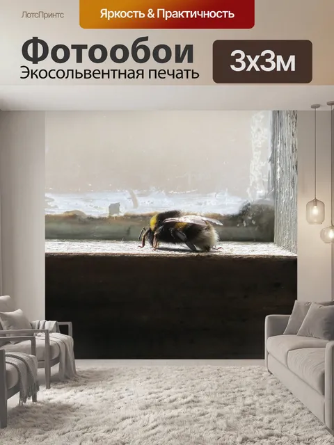 Фотообои Окно