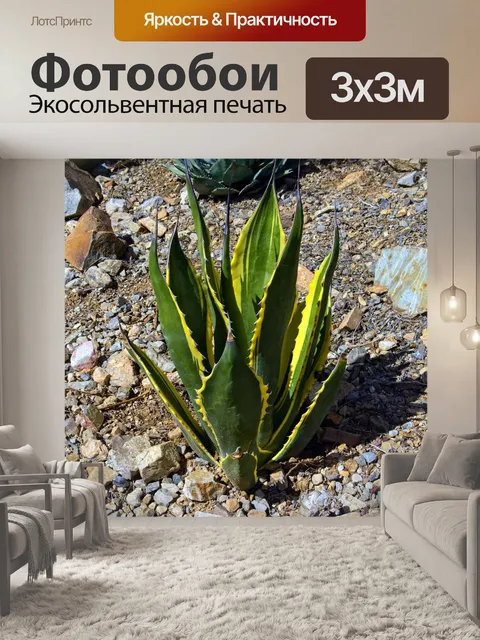 Фотообои Желтые и зеленые агавы